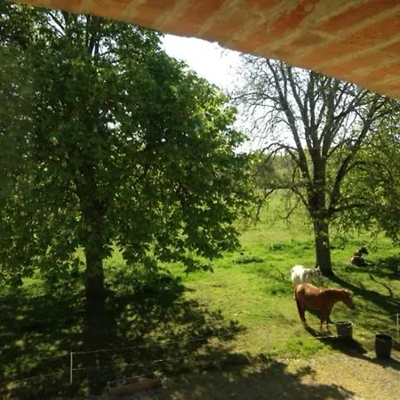 Apartment Ecrin De Nature